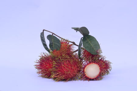 Rambutan harvest